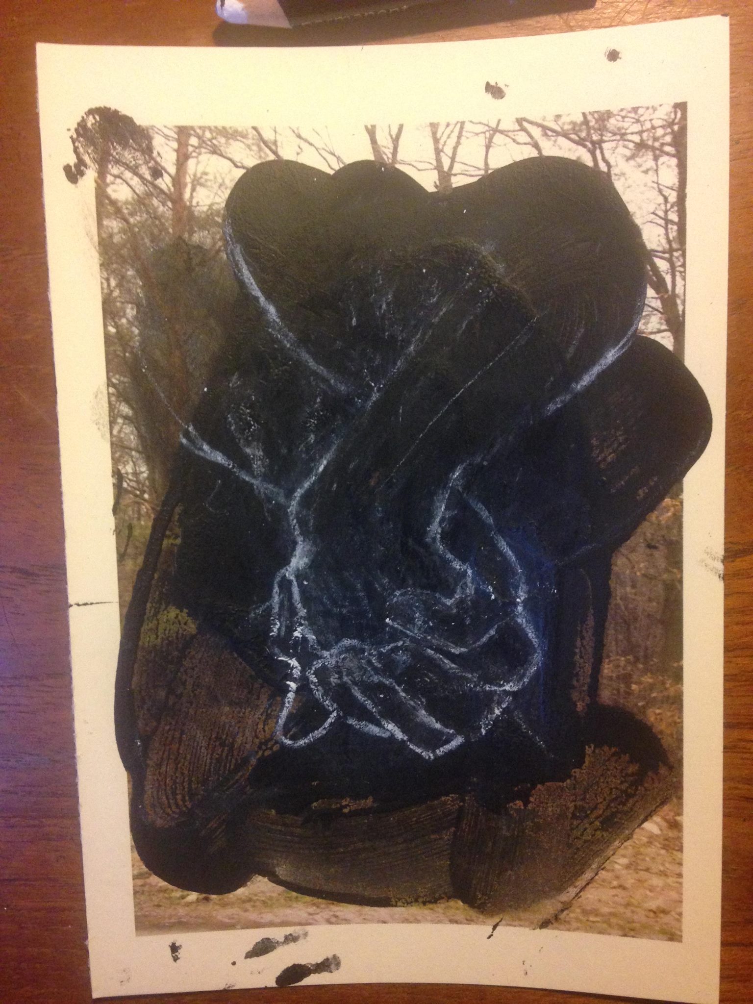 Schizomagic by Eva Lis