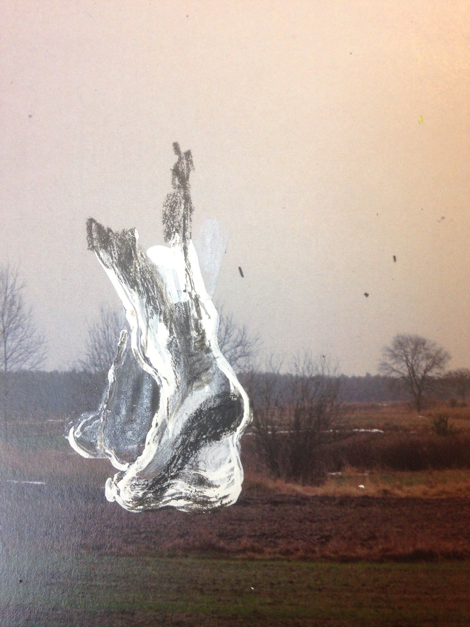 Schizomagic by Eva Lis