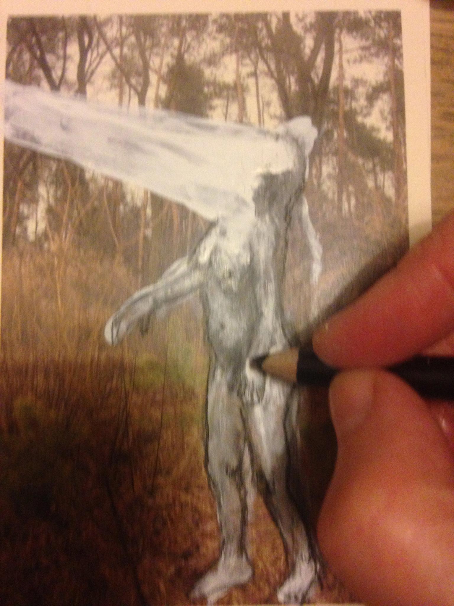 Schizomagic by Eva Lis