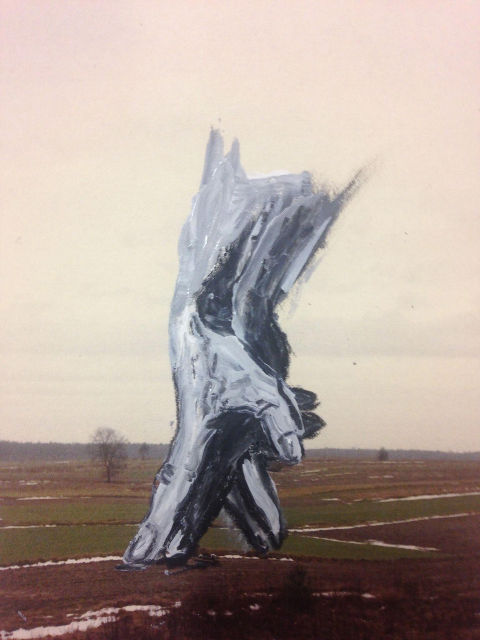 Schizomagic by Eva Lis