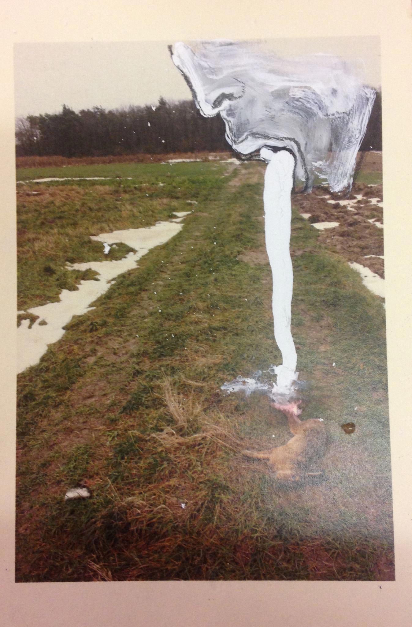 Schizomagic by Eva Lis