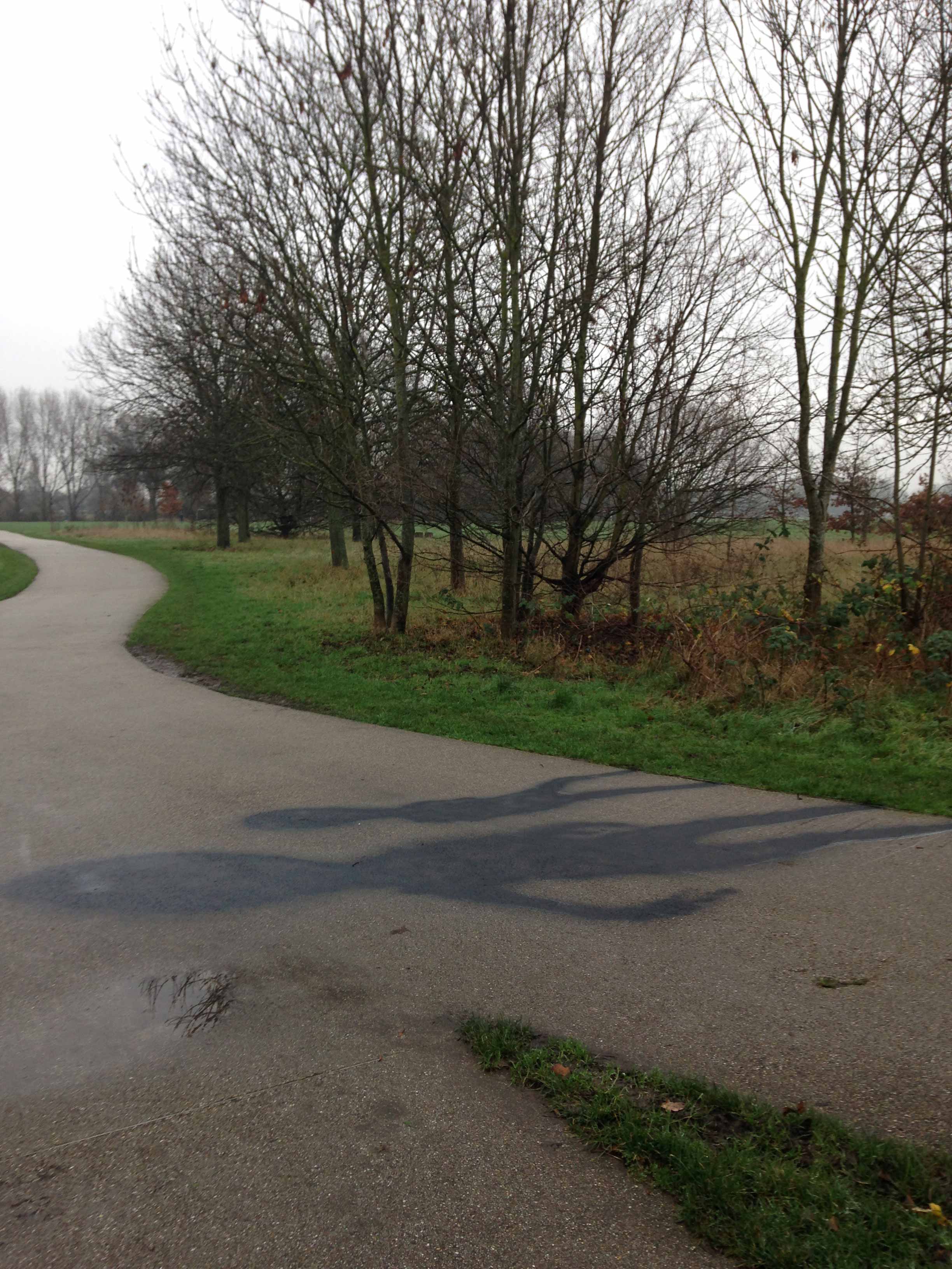 Shadows Without Bodies by Eva Lis