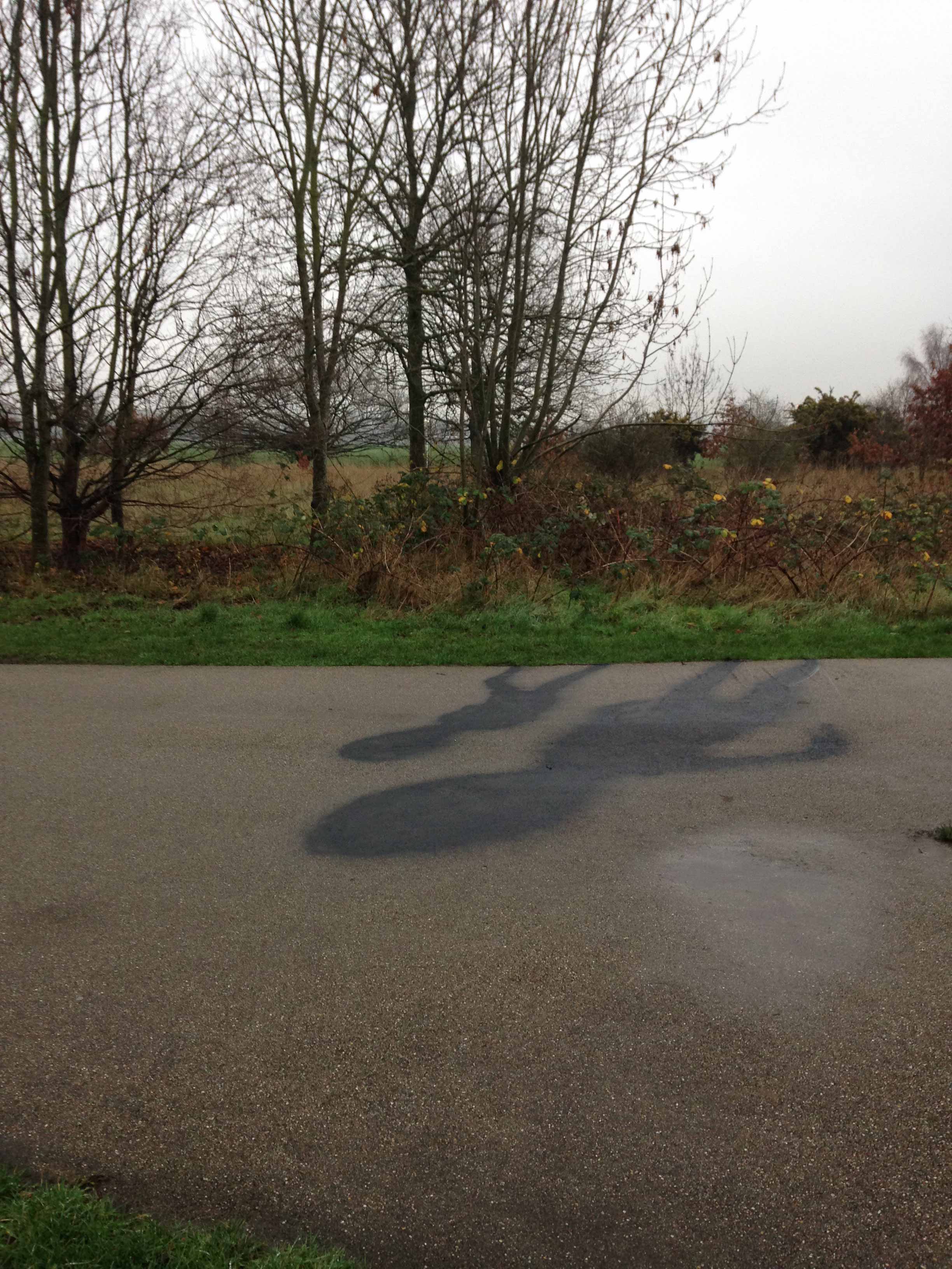 Shadows Without Bodies by Eva Lis