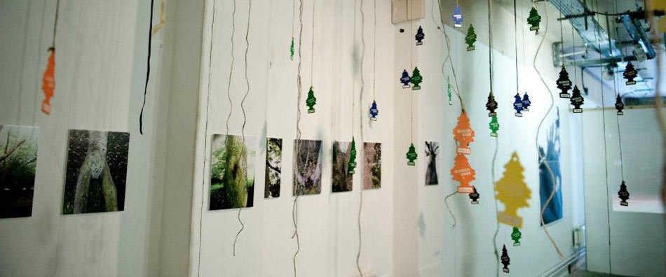 Community Spirit by Eva Lis