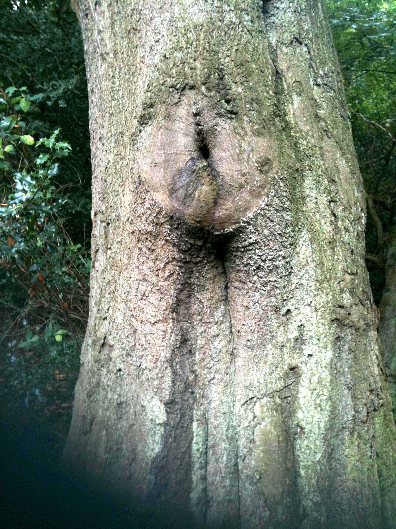 Community Spirit by Eva Lis