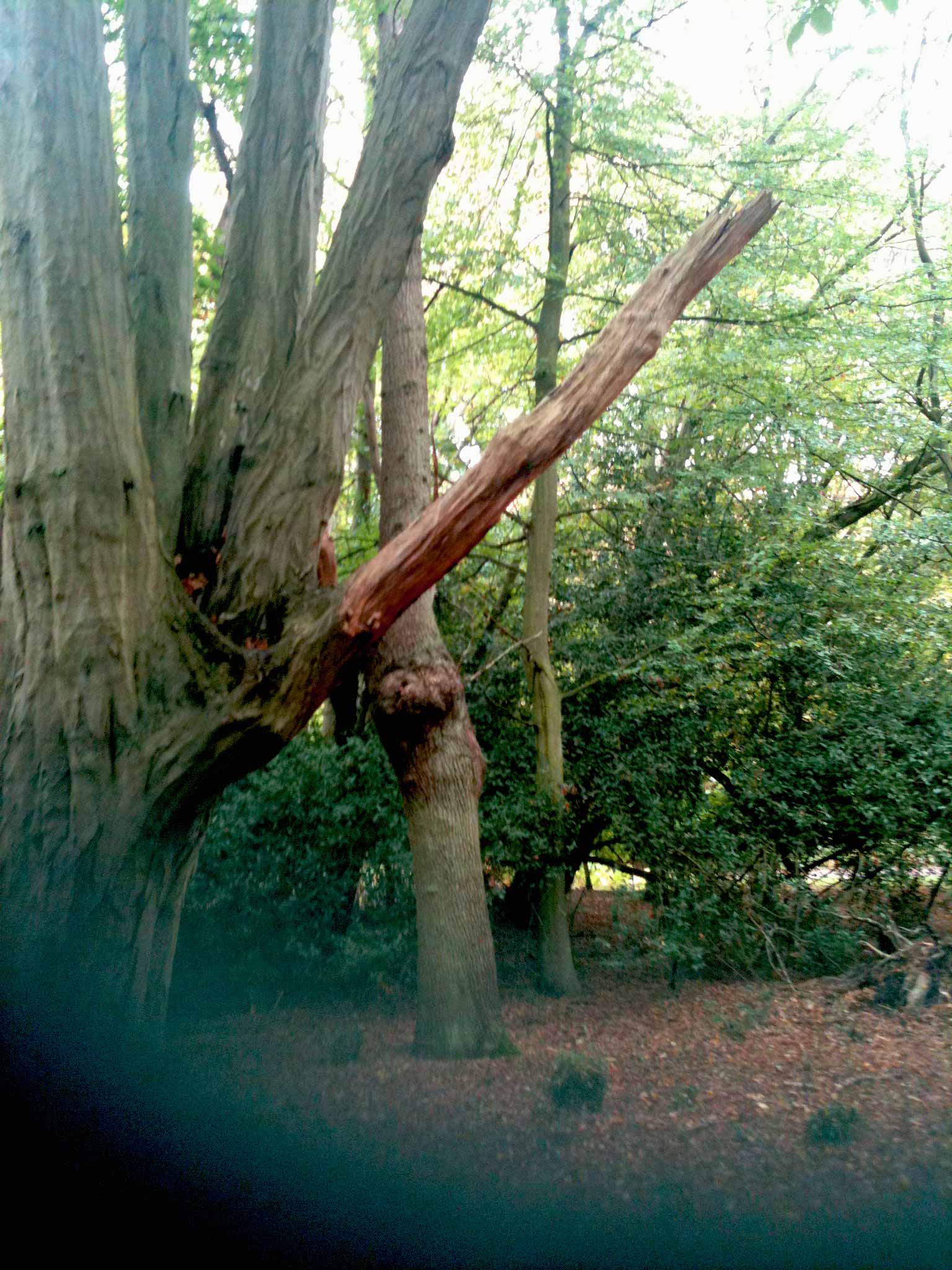 Community Spirit by Eva Lis