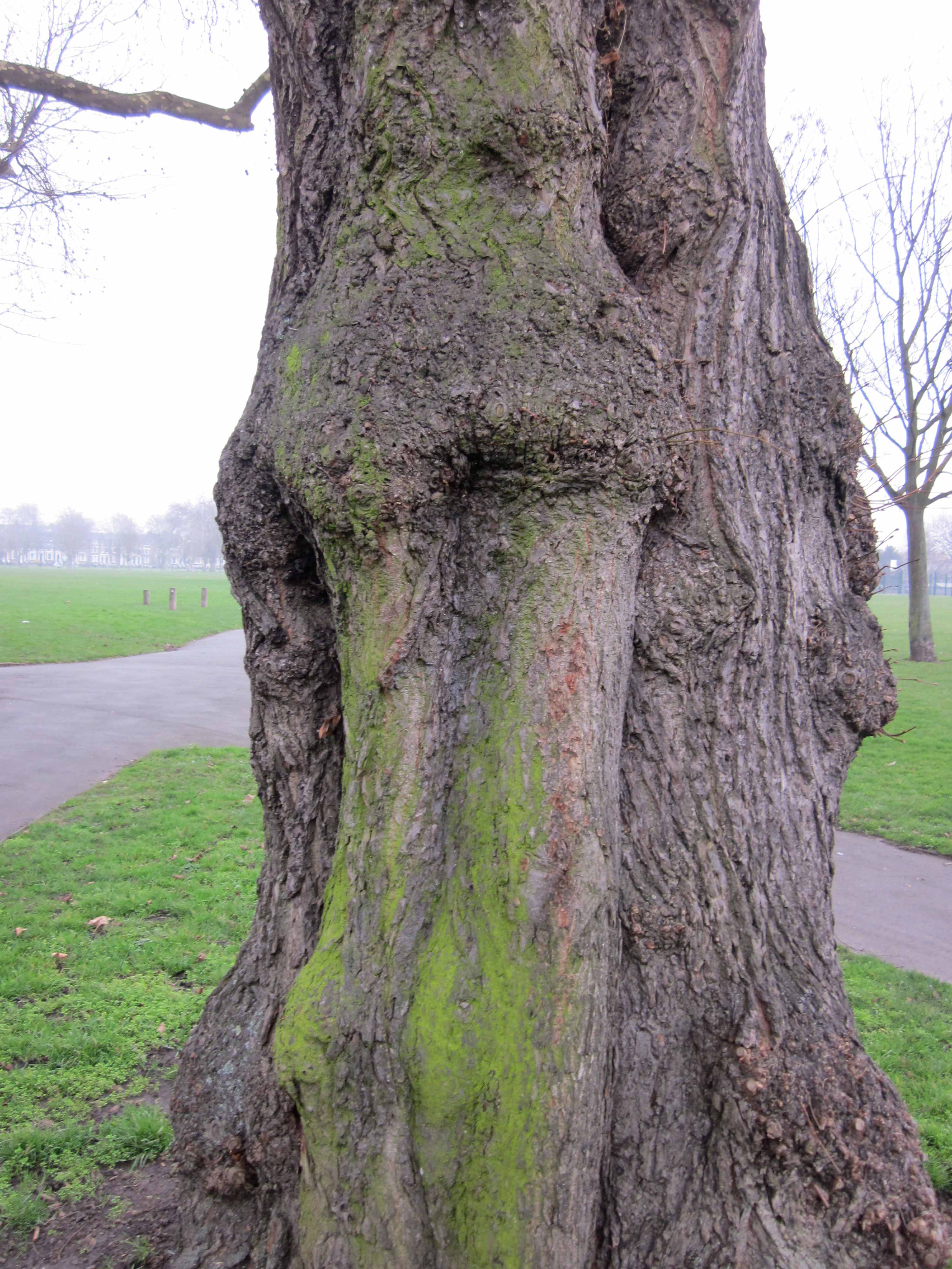 Community Spirit by Eva Lis