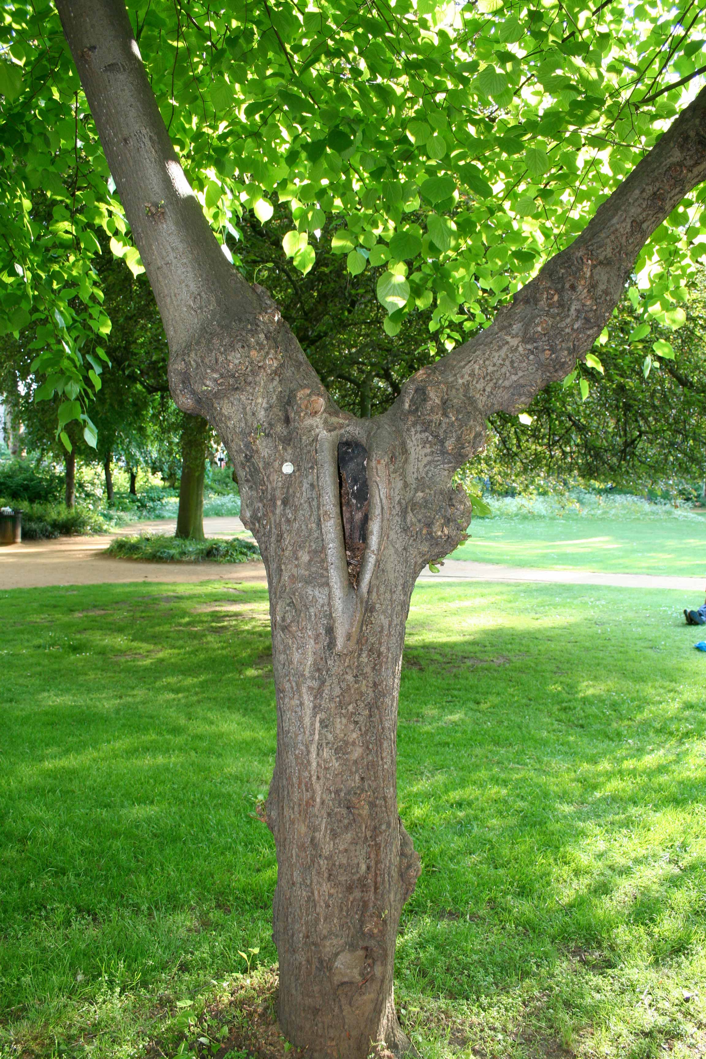 Community Spirit by Eva Lis