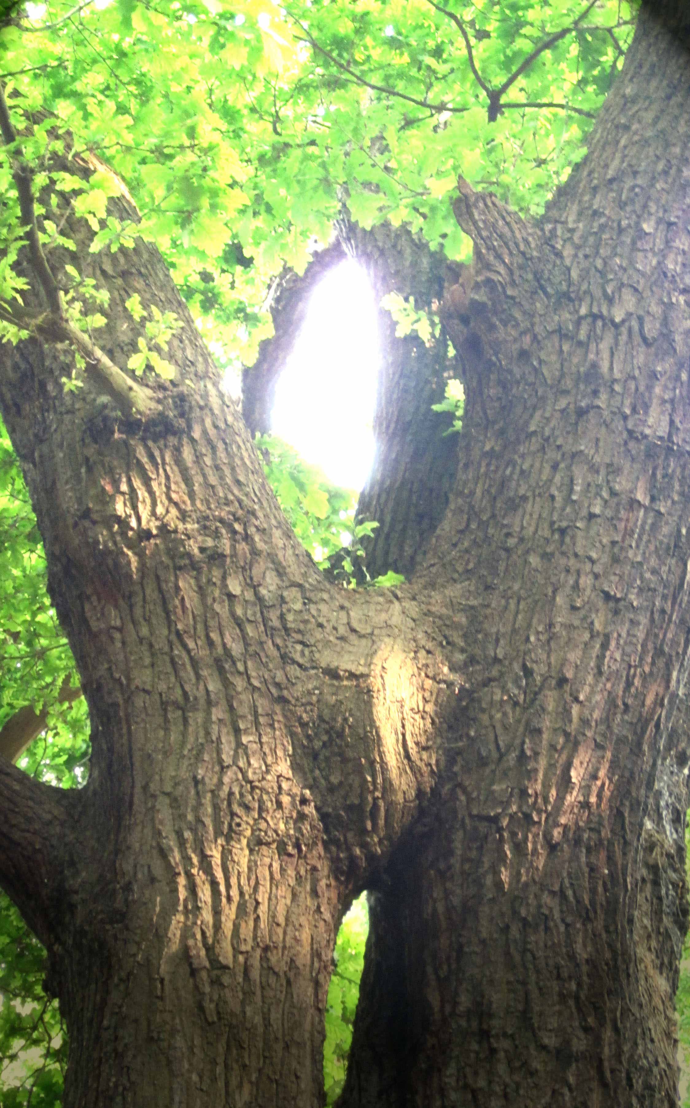 Community Spirit by Eva Lis