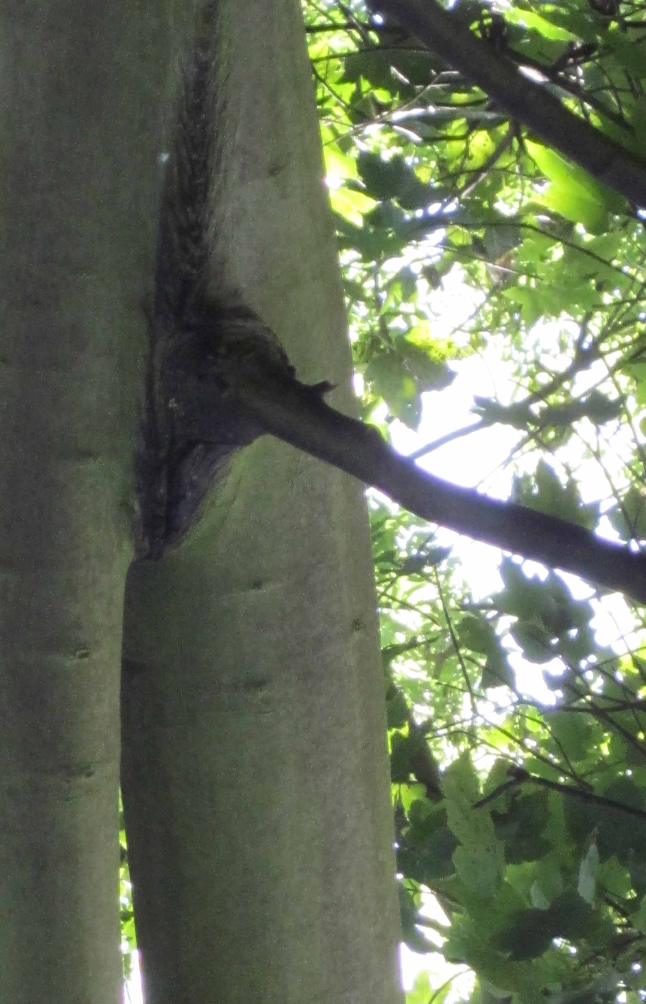 Community Spirit by Eva Lis