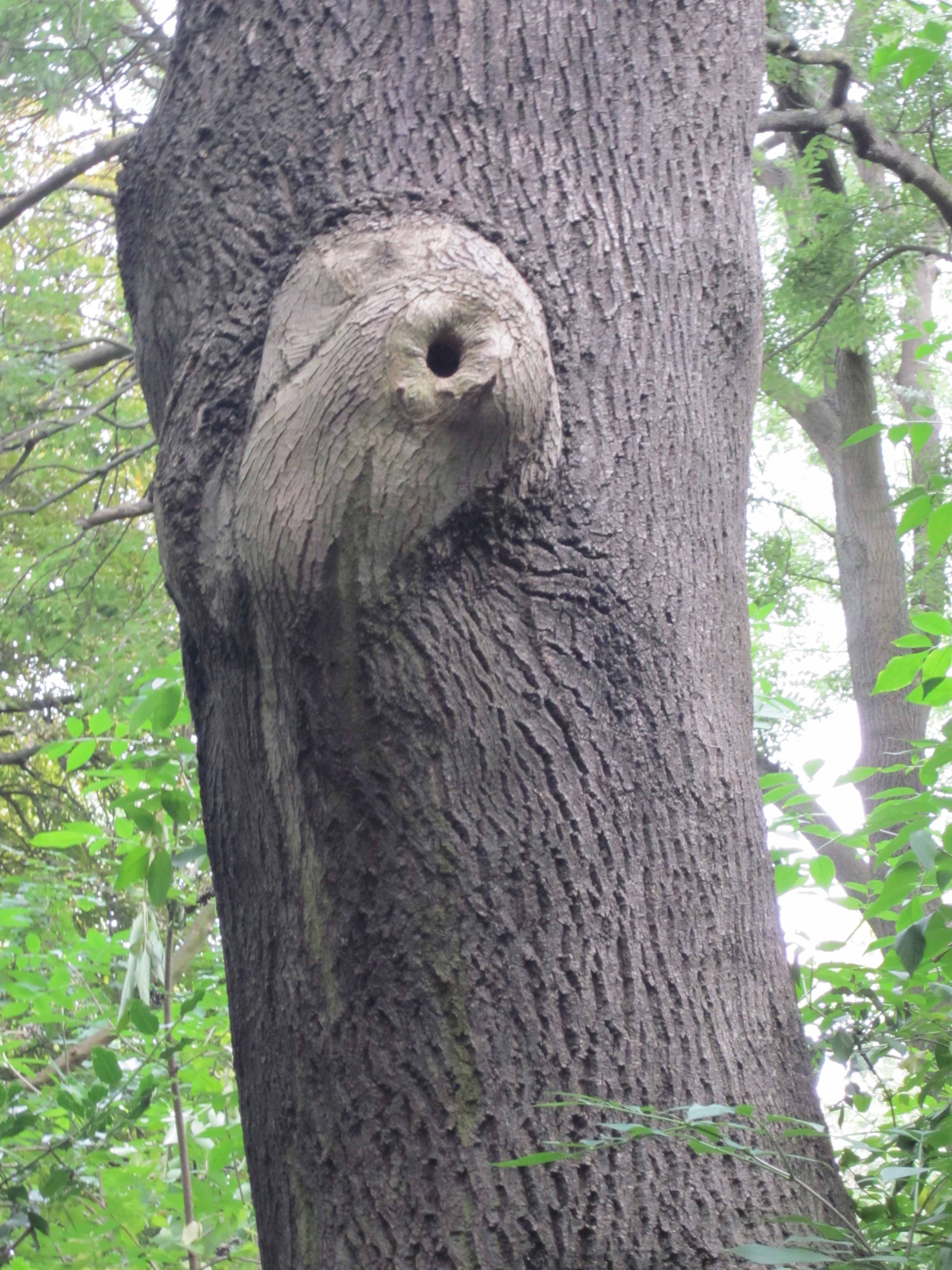 Community Spirit by Eva Lis