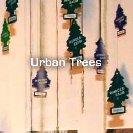 Urban Trees